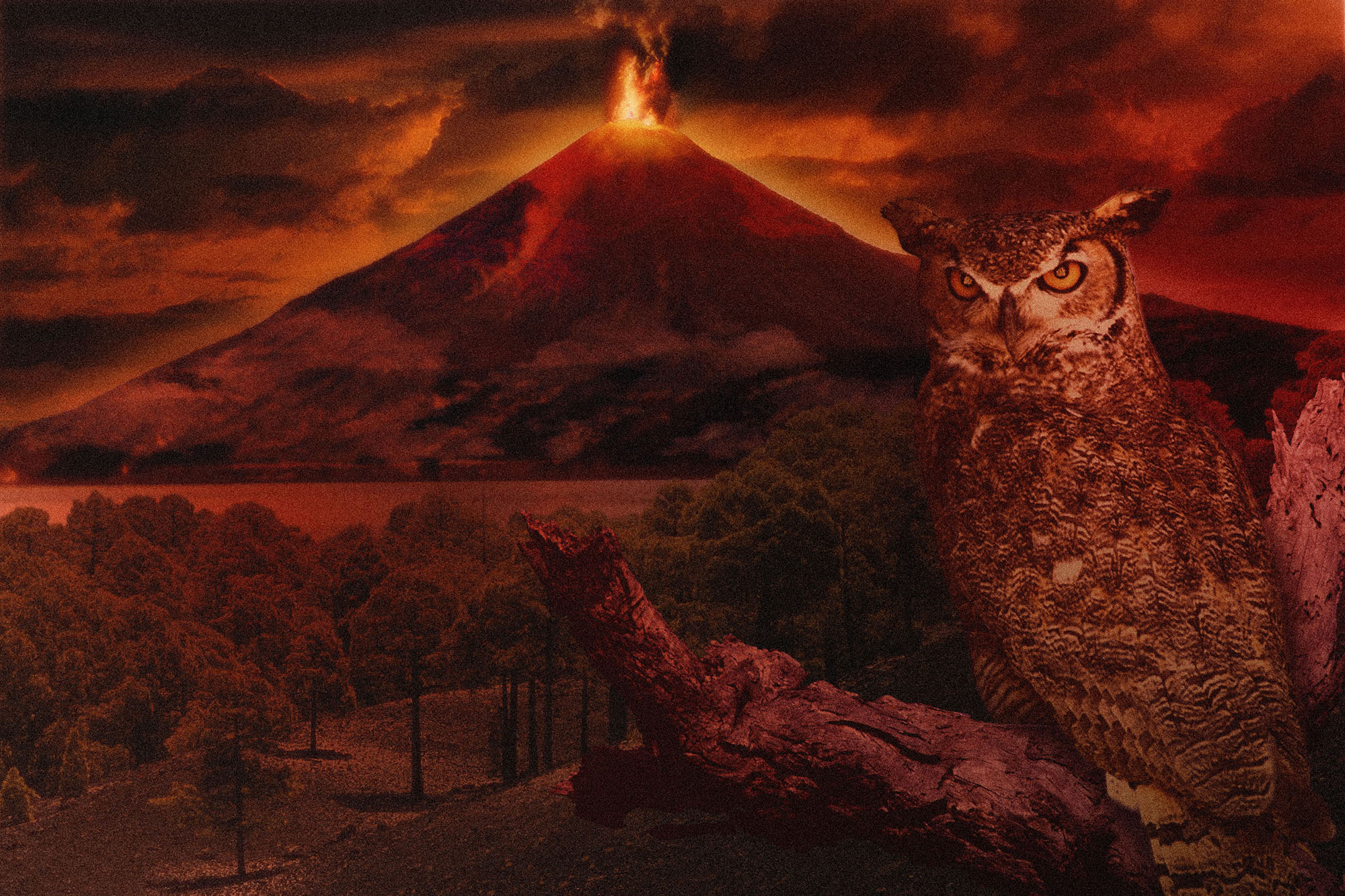 Paesaggio di un vulcano fotoritoccato con Photoshop, con un gufo in primo piano. Foto vincitrice al concorso Fotocult